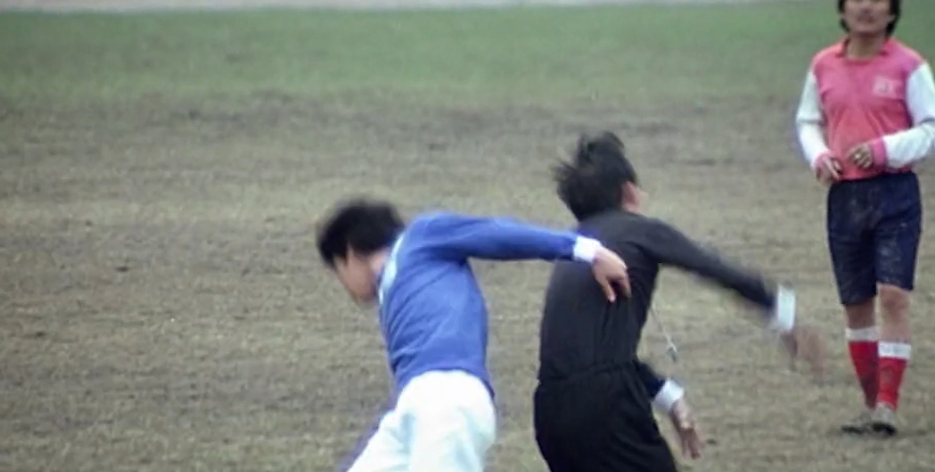 赶鸭的小伙,赶鸭子的小伙子