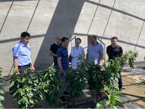 北京新广汇招商合作,北京新疆企业商会