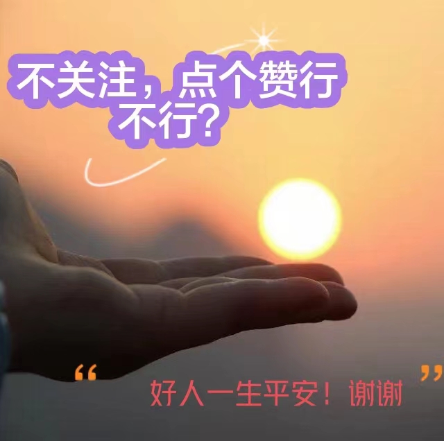 股票波段操作论坛,股票交易论坛有哪些