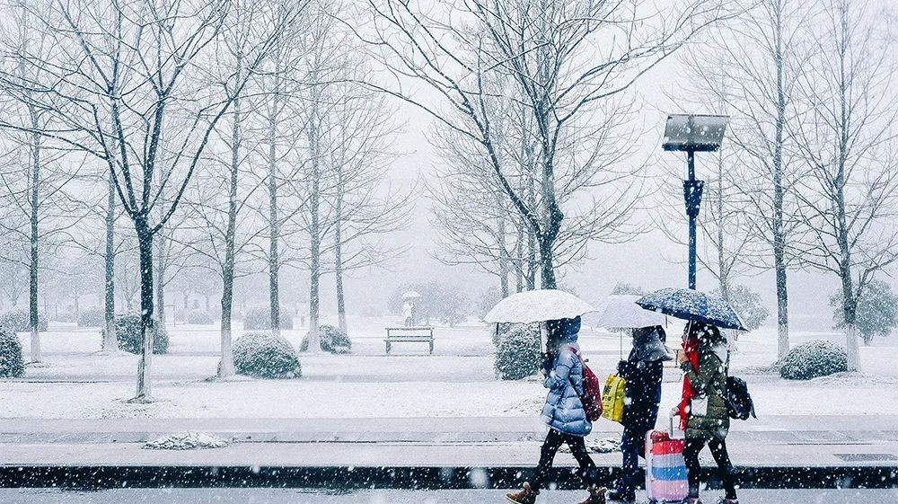 浙江省政府全力支持西湖大学,浙江省政府重点扶持大学