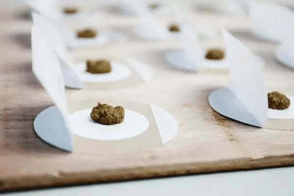 小儿支气管哮喘治疗过程中，配合穴位敷贴护理，收效更佳