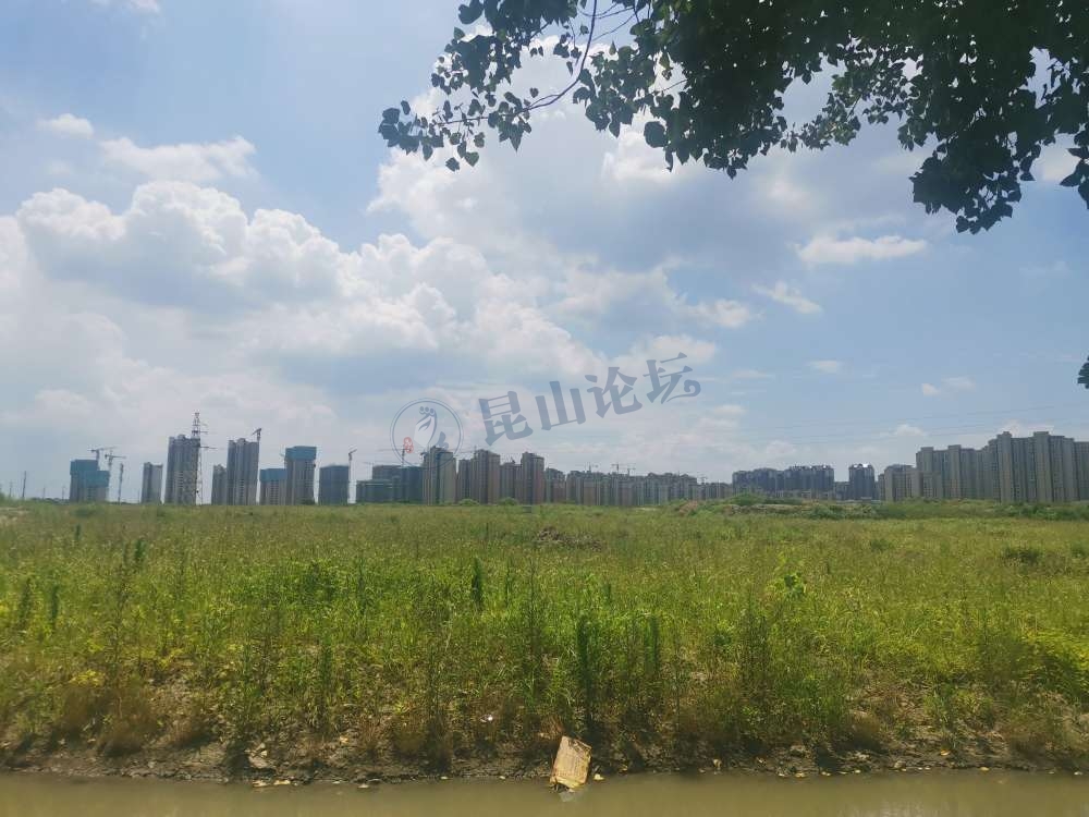 张浦高中什么时候弄好,张浦镇高中在哪里