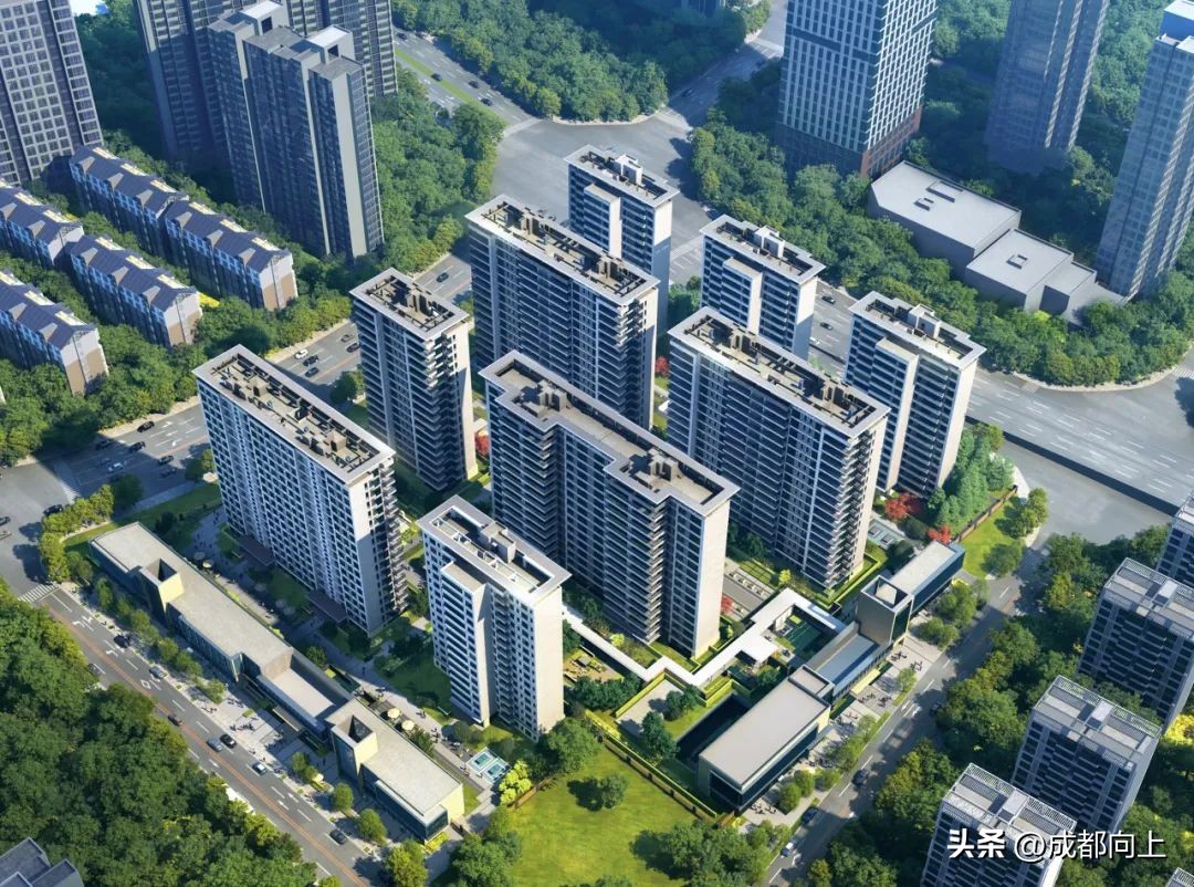 已取证！攀成钢下半场，顶豪迎来自我迭代