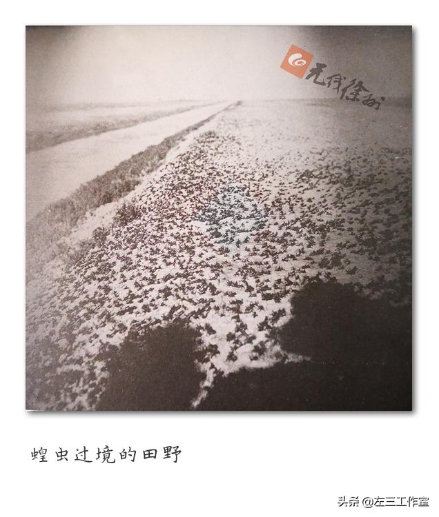 彭城旧事|徐州1922~1931：乱世不见桃花源