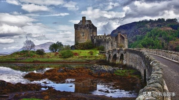 百年孤独读后感800字高中,百年孤独深度解析