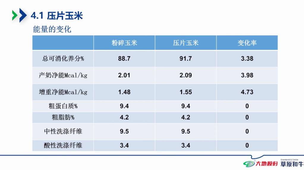 九州大地王岗博士,九州大地生物技术