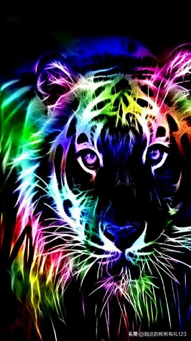 难得一见绝美一清二楚郁金香壁纸,难得一见雪景壁纸