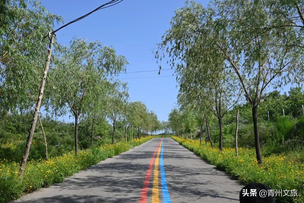 潍坊创建东亚文化之都,潍坊争创东亚文化之都