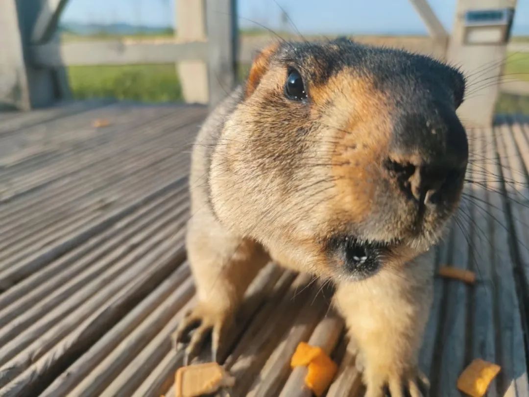 7月份人来人往街道,7月北京人山人海