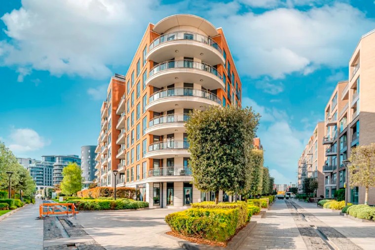 英国切尔西花展10张花园图,切尔西花展2019年度植物