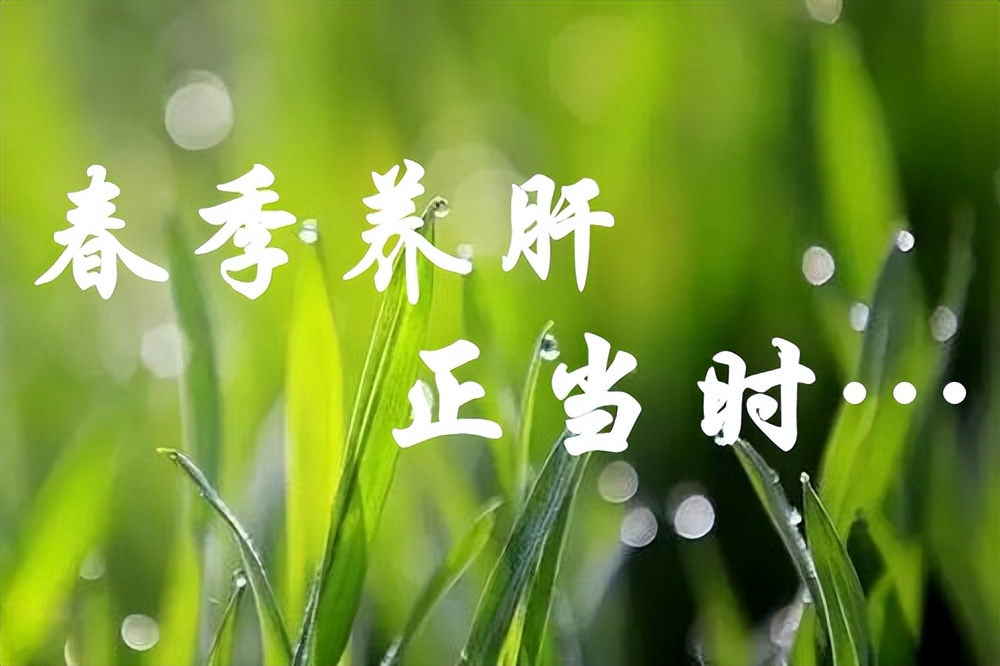 健康养肝护肝吃这四种食物,护肝王怎么消除肝毒