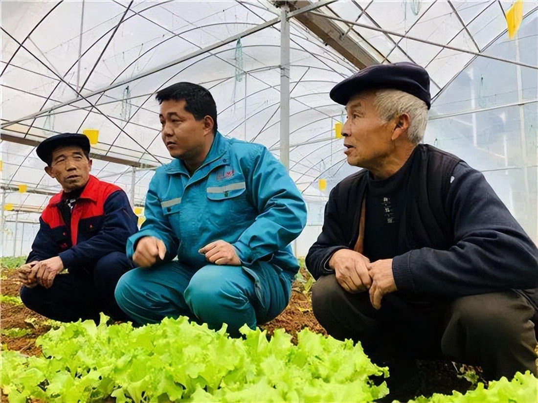 农业指导员需要的专业知识,农业技术指导员需要做什么