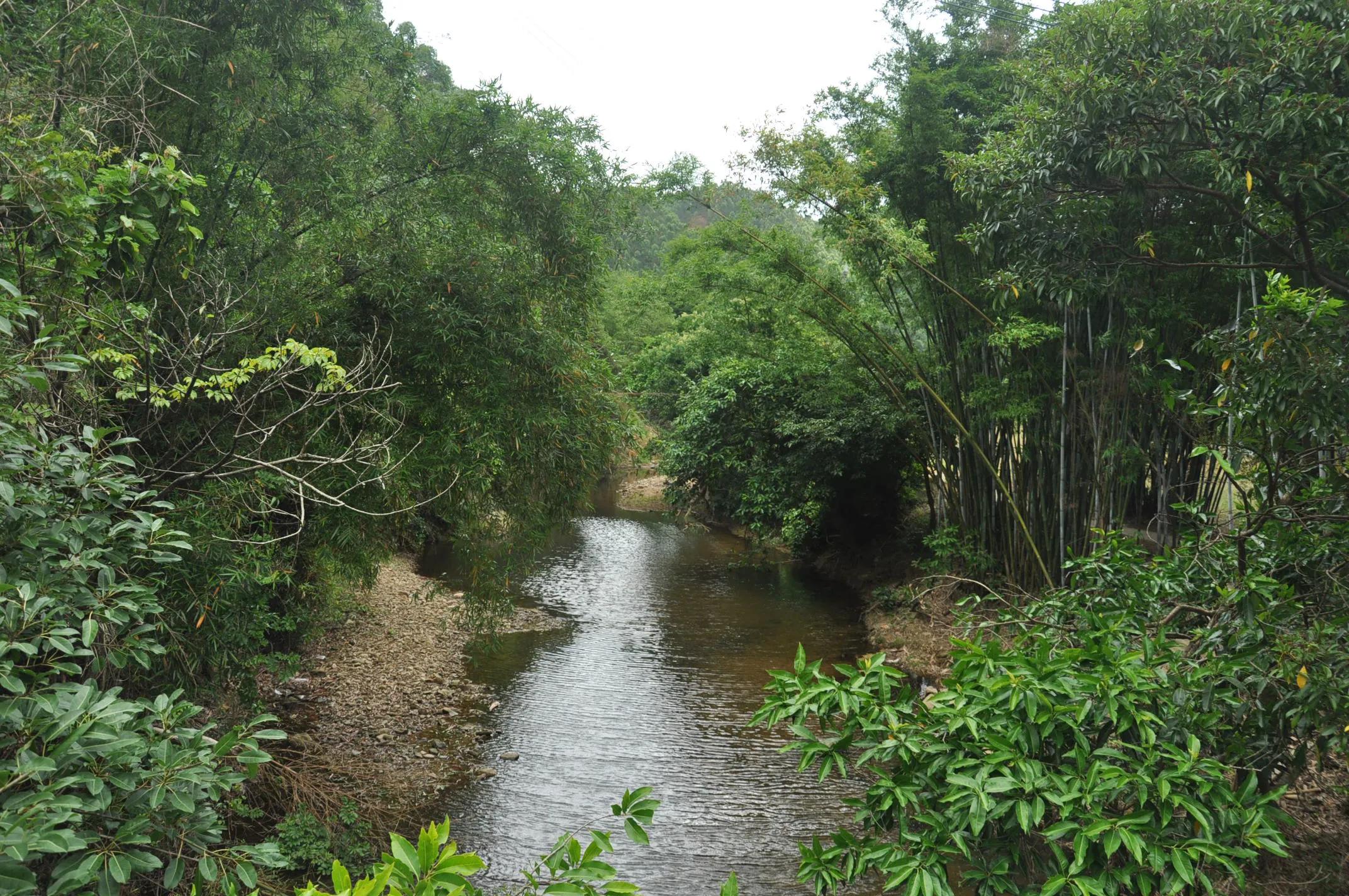 台山｜凤凰峡·岭南小九寨沟