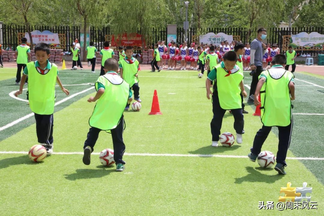 小学体育走班制教学,小学体育教学改革
