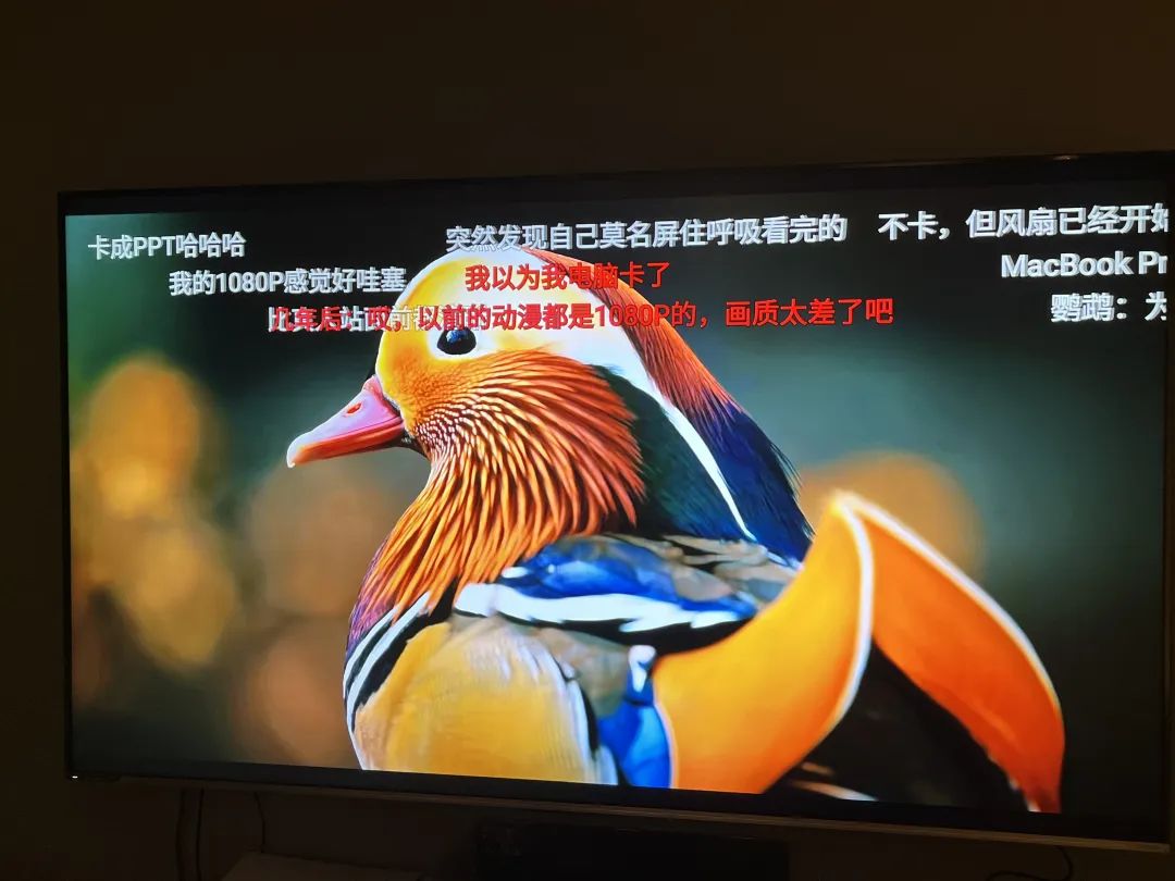 曾经吹了4年的东西，这次直接扔了