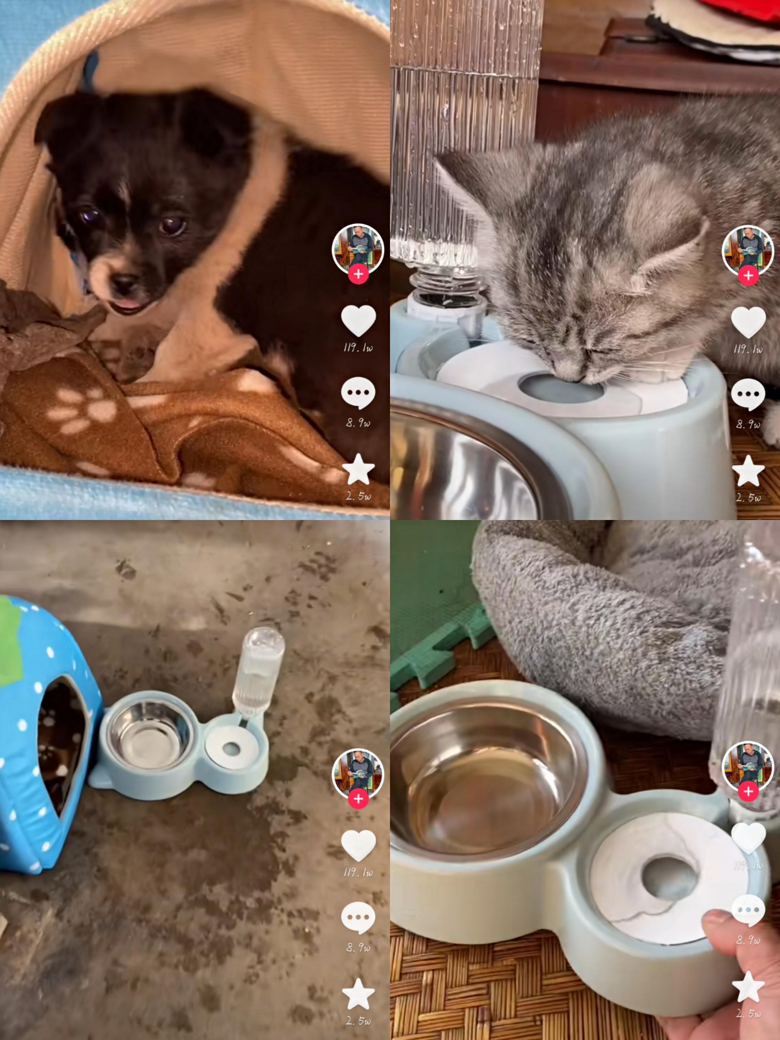 张同学与李子柒视频拍摄对比,李子柒张同学为什么会红