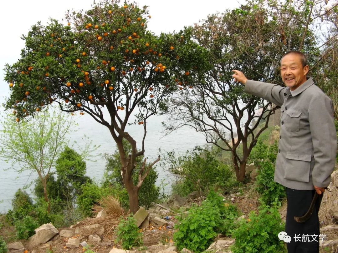 后皇嘉树吟诵,后皇嘉树注释