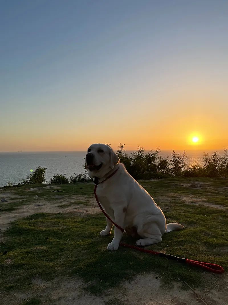 汕头潮州南澳岛旅游攻略,潮州汕头南澳岛自驾游攻略