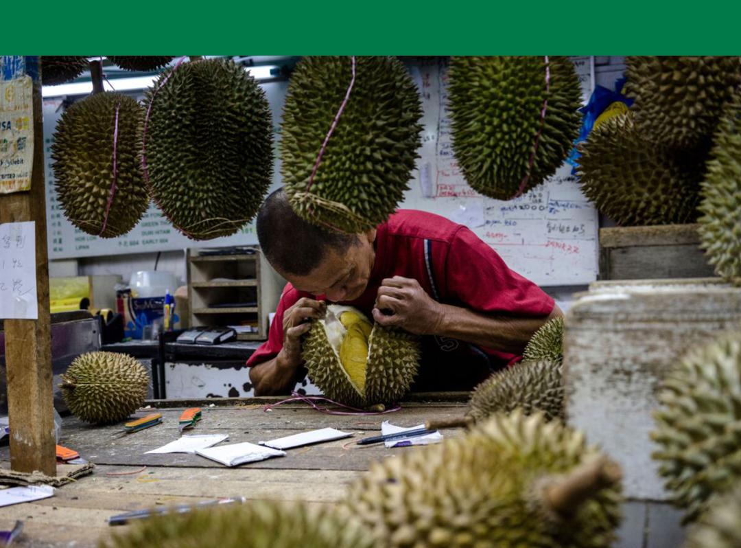 中国进口榴莲种植,中国市场所有榴莲都是进口的吗
