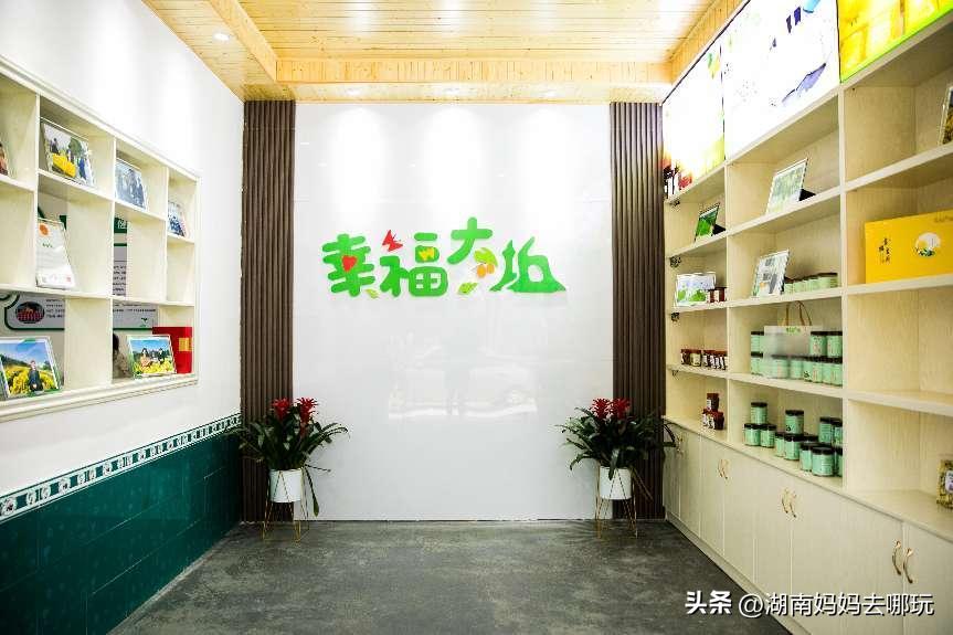 长沙近郊一日自驾游攻略,长沙大观园旅游攻略