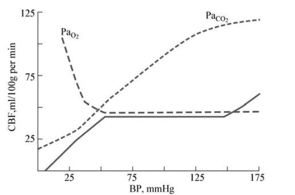 脑水肿压迫神经恢复要多久,脑水肿的诊断与治疗