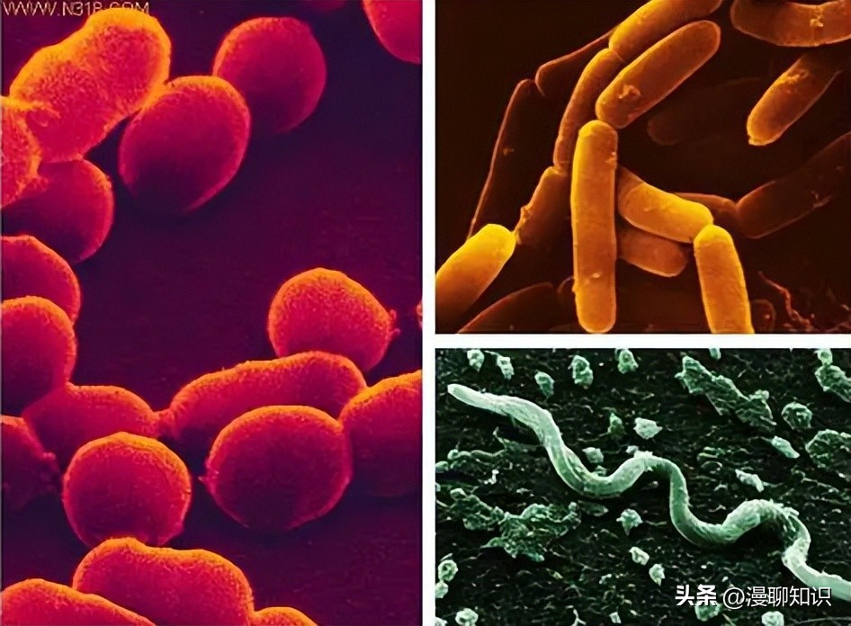 慢性复发性骨髓炎儿童案例,青少年得慢性骨髓炎能治好吗