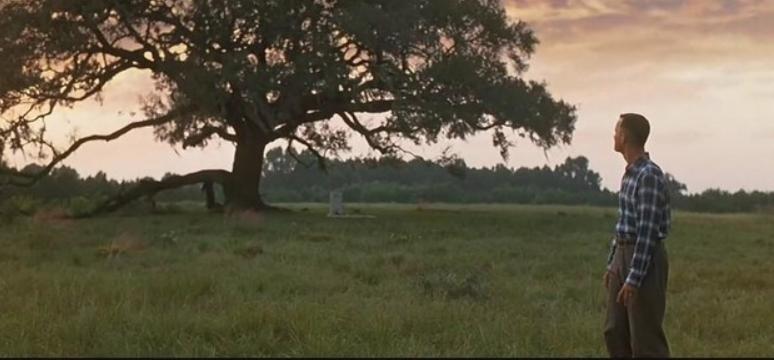 阿甘正传中蕴含的西方文化,电影阿甘正传体现的美国价值观