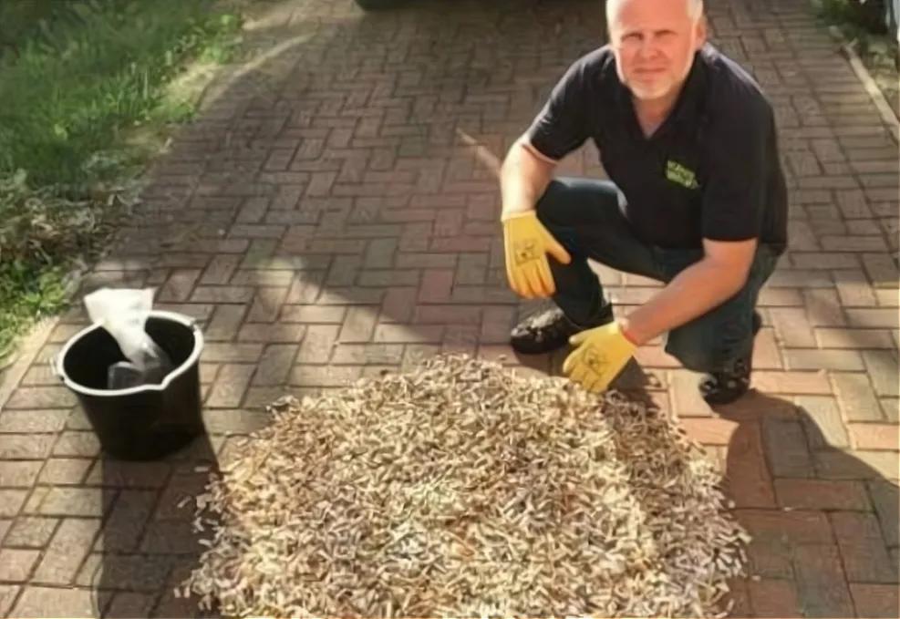 回收烟头靠谱吗,回收烟头的生意怎么样