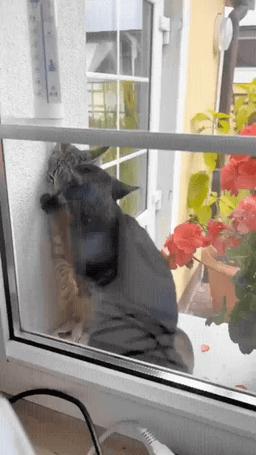 【被窝段子20221225】每个人的花期不同不必焦虑有人比你提前拥有