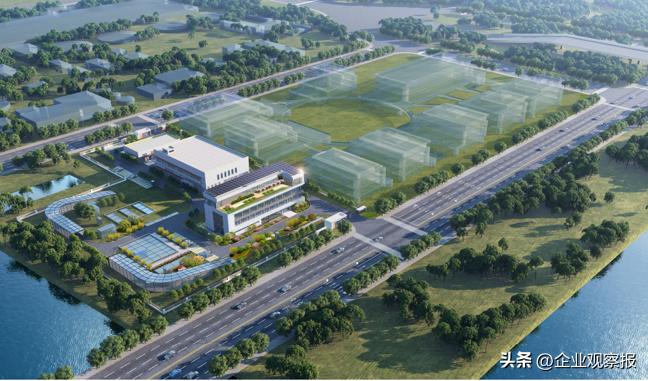 当好推进生态文明建设的实践者,中国诚通愿景