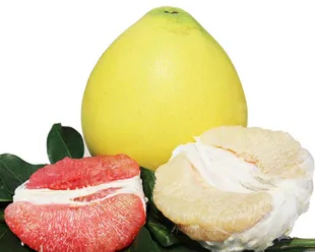 秋天干燥适合吃什么水果,广东秋天应季水果