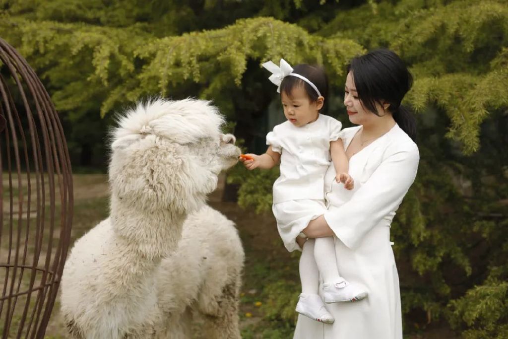 新生儿必买实用好物推荐攻略,秋冬新生儿囤货实用清单