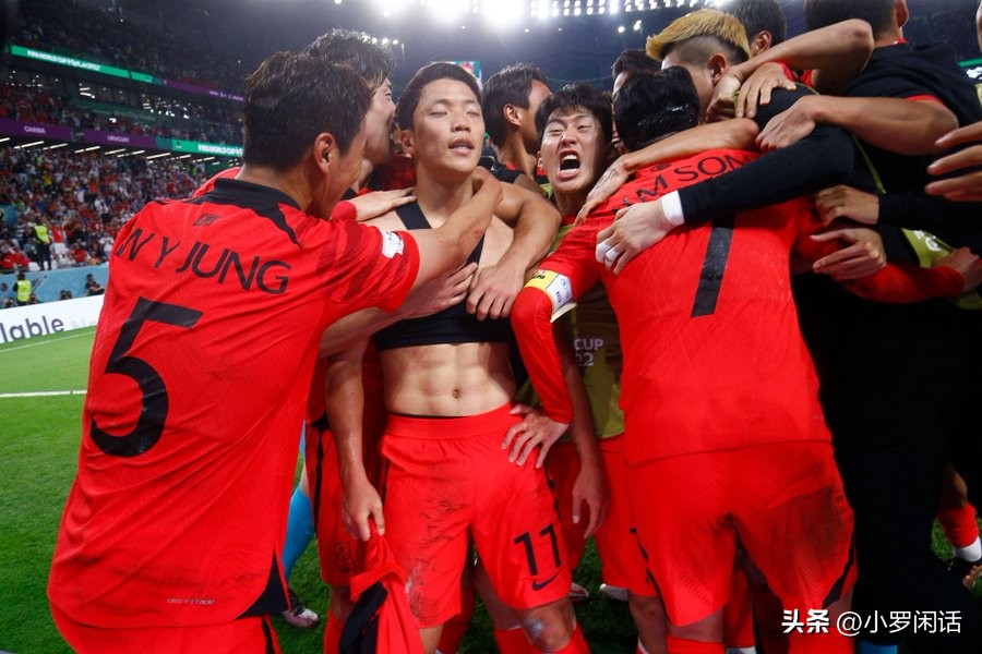 世界杯32支球队全家福,世界杯集锦24