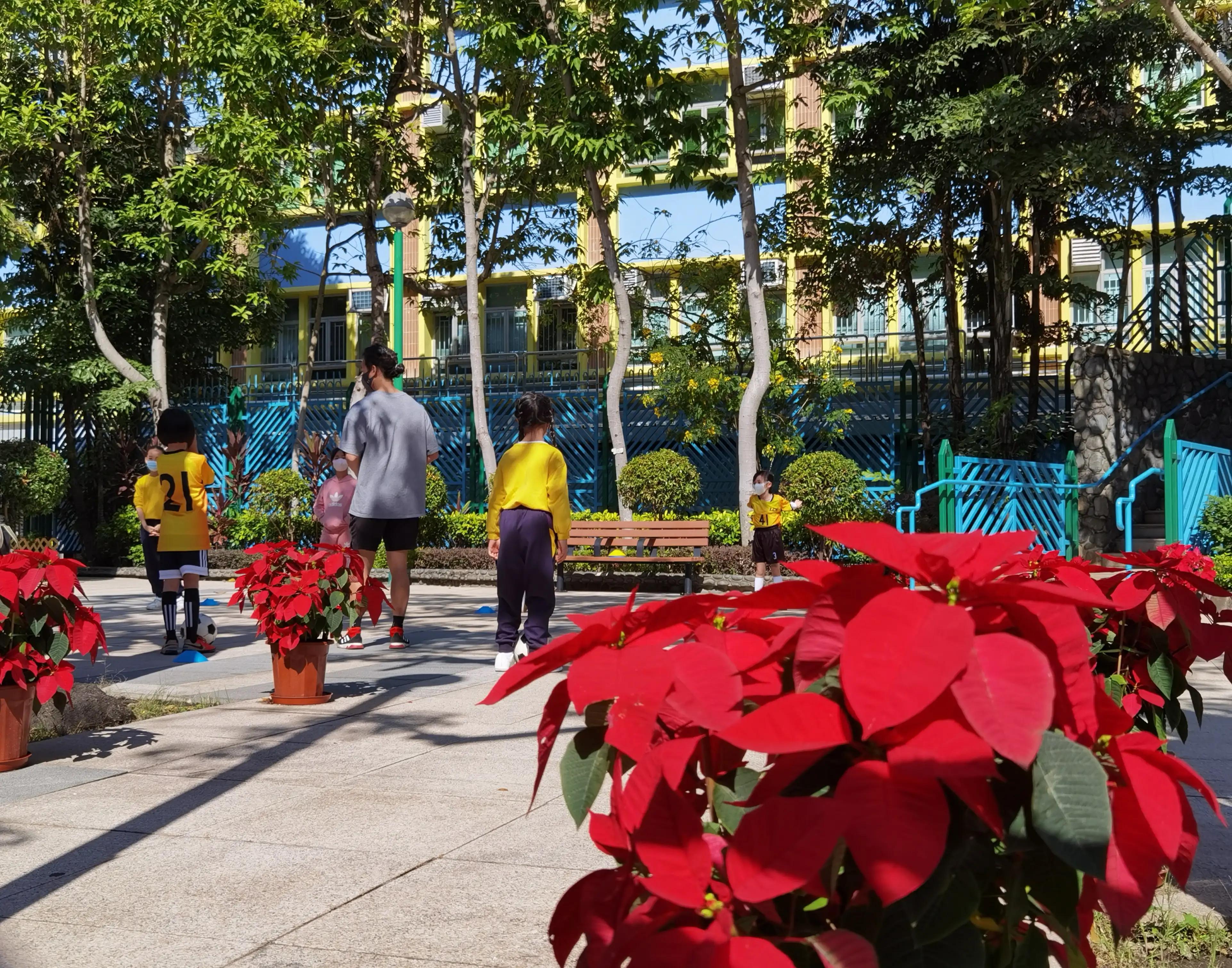 香港的城市空间布局,香港的城市屋