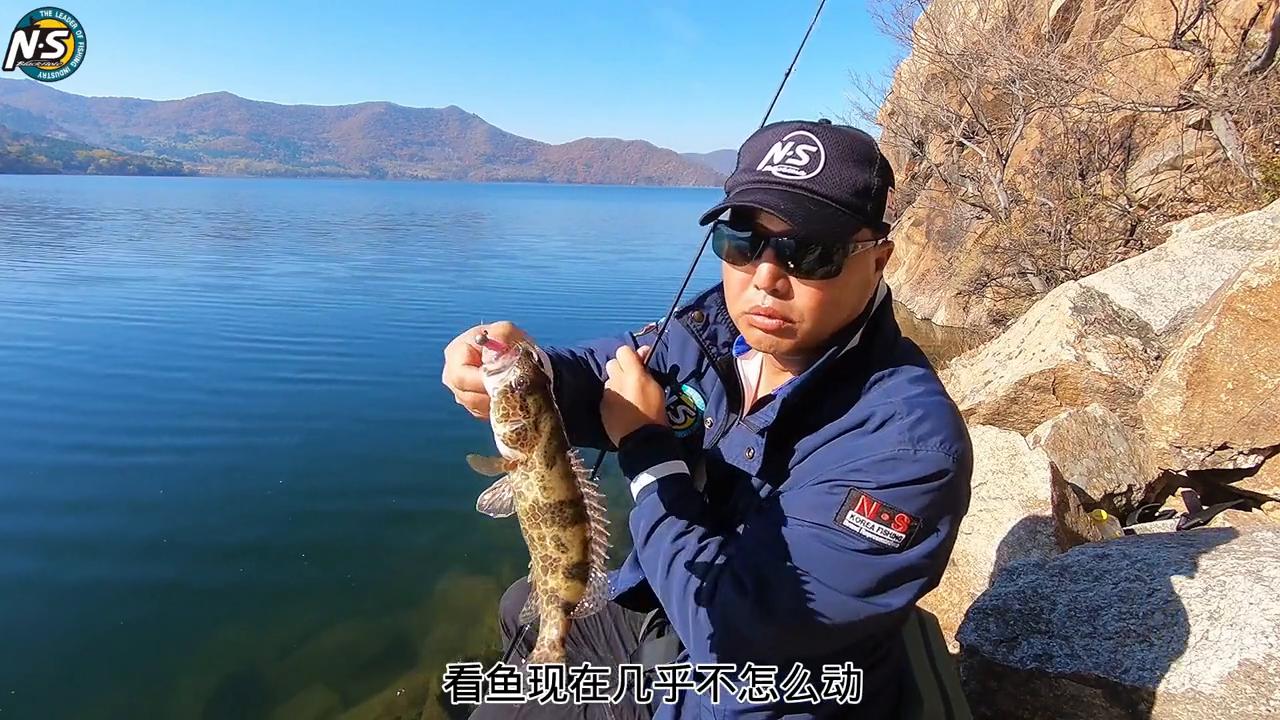 ns鳜鱼竿推荐,复仇者c672mh钓鳜鱼怎么样