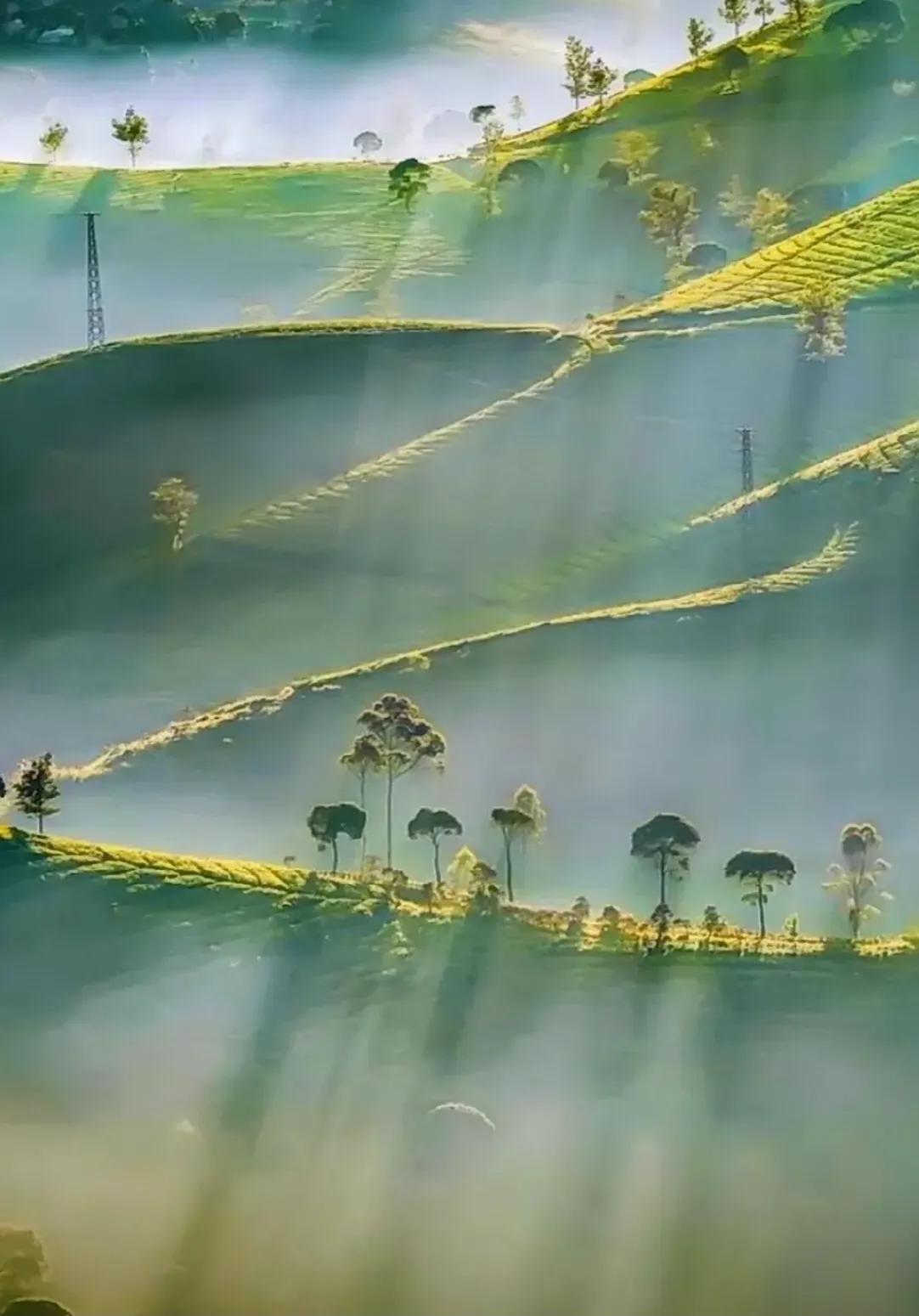 道德经二十一章的修身之道,道德经21章孔德之容解释