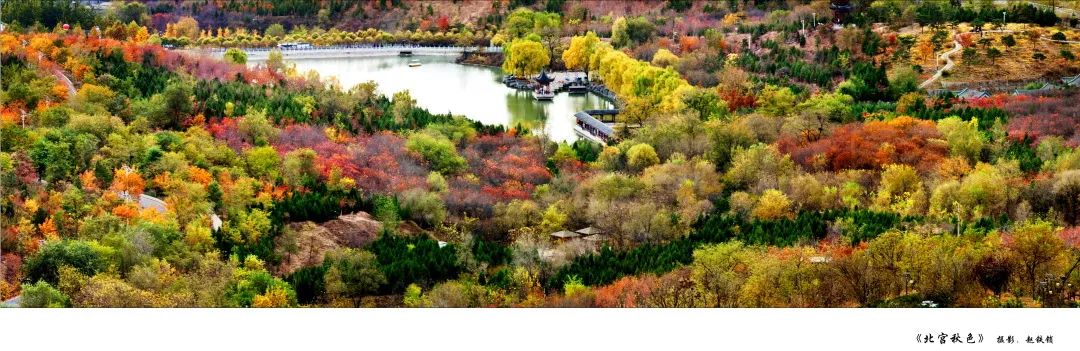 丰台的秋景大片，等您来定格！