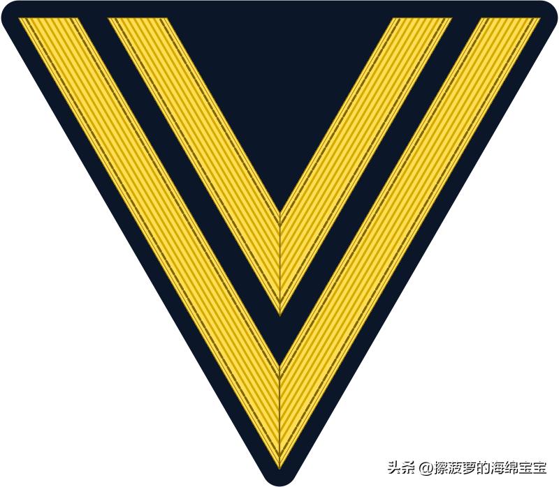 二战德国国防军医疗兵军衔标志