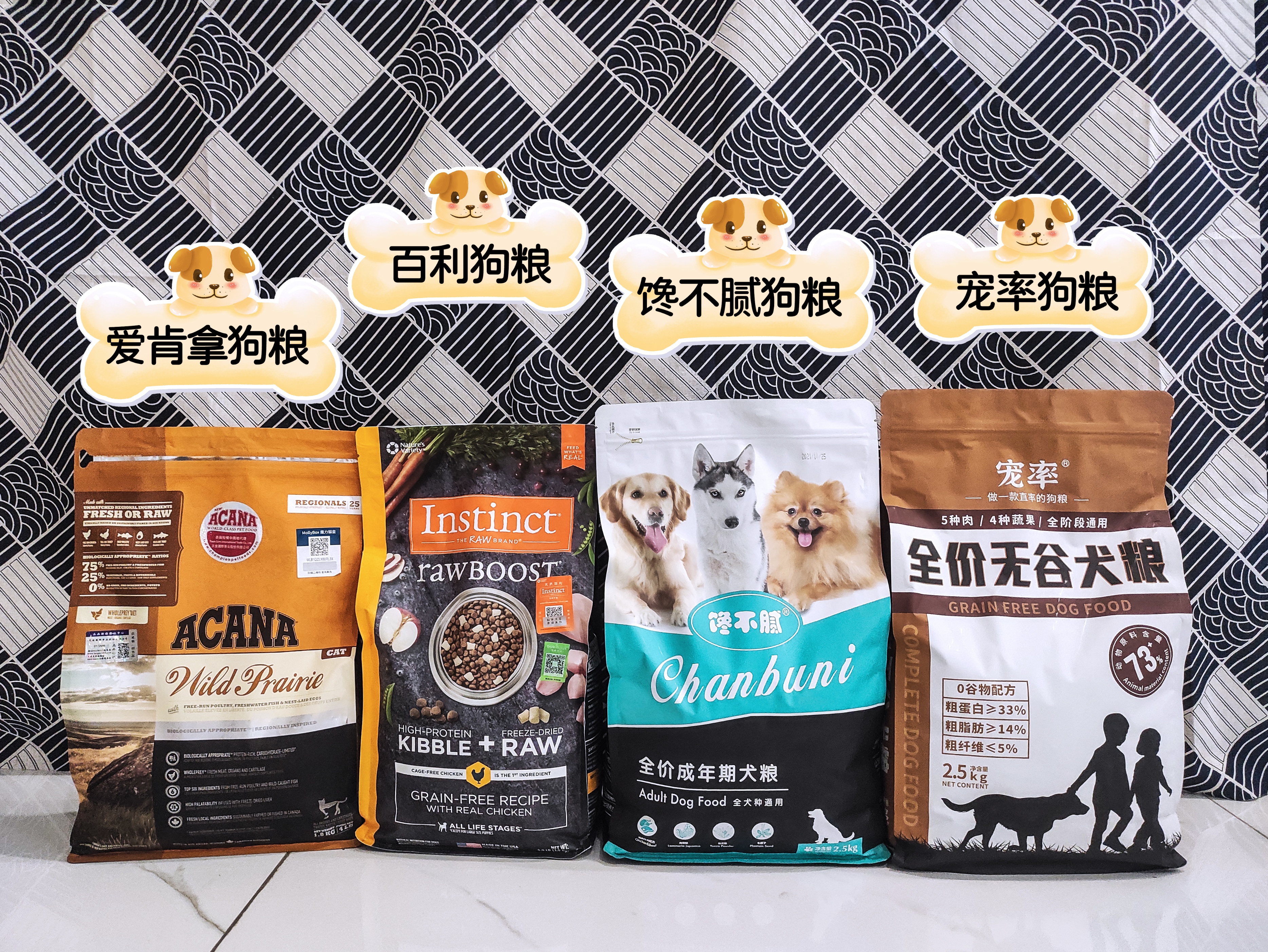 博美犬的饲养常识有哪些,博美犬优缺点有哪些表现