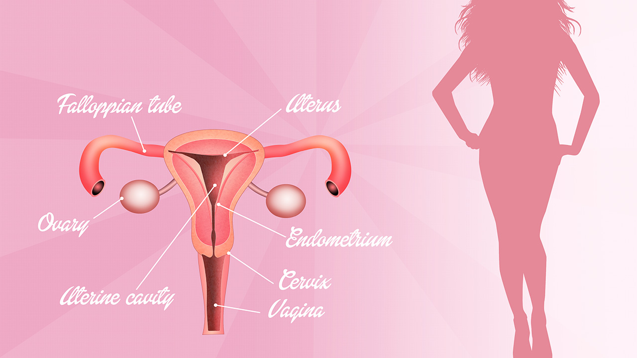 医生揭秘健康谣言,女性最要命的健康误区全曝光