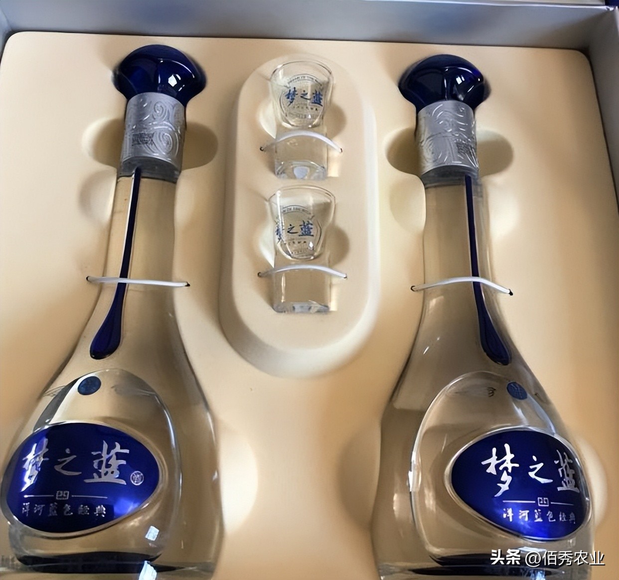 洋河酒天之蓝和梦之蓝哪个贵,洋河梦之蓝与同档次的酒对比