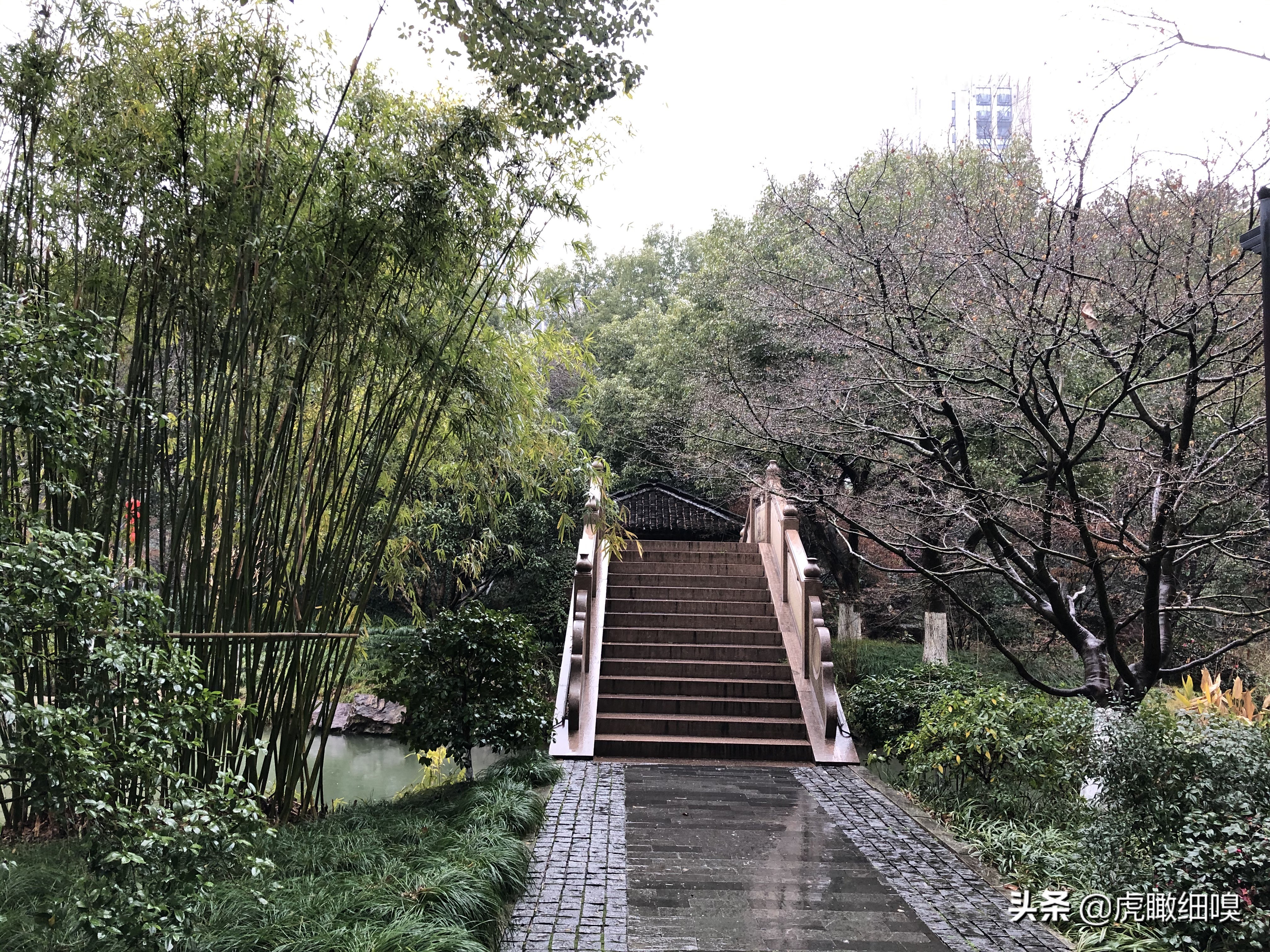 临平水景公园秋天,临平公园当地知名度最高的公园