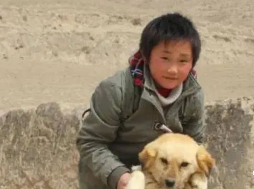 变形计最清醒女孩现在怎么样了,13年前变形计中的孩子已长大