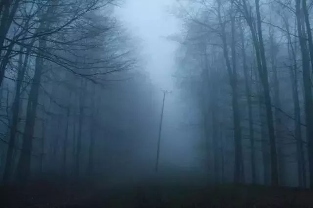 奥林巴斯摄影获奖照片,奥林巴斯摄影比赛视频