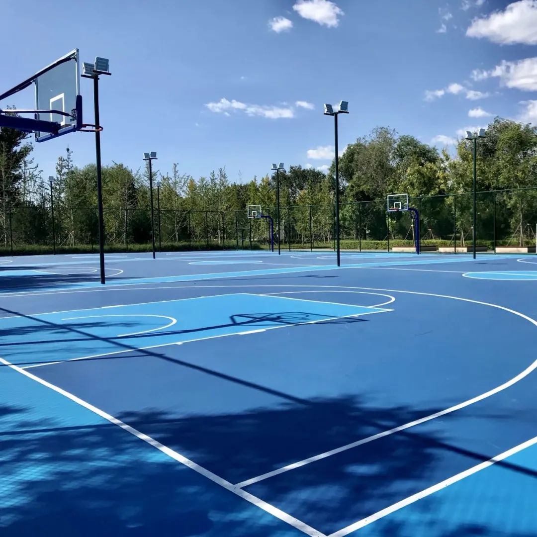 公园绿地改造篮球馆,东小口森林公园足球场免费吗