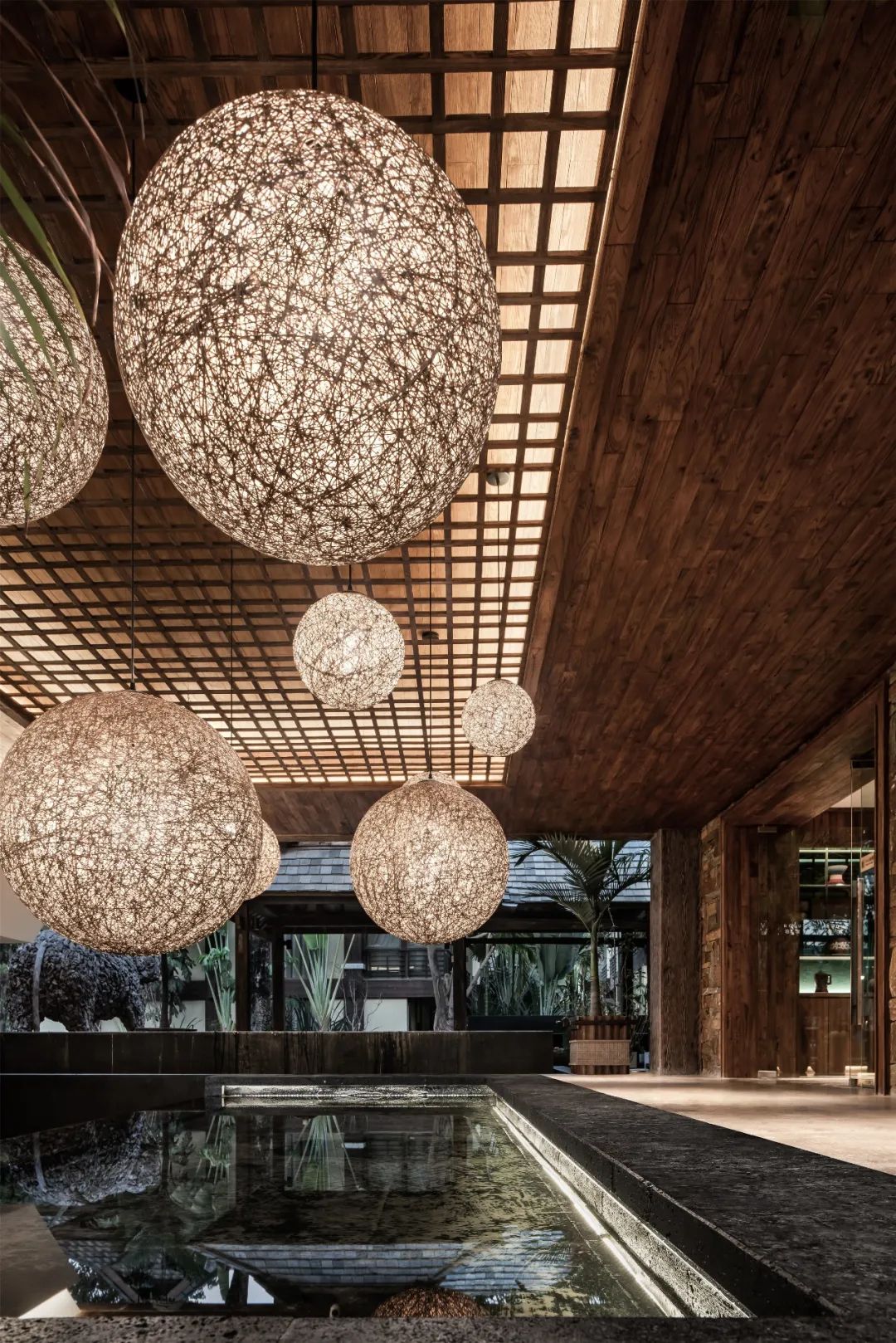 西双版纳旅游攻略两分钟视频,西双版纳旅游攻略摄影