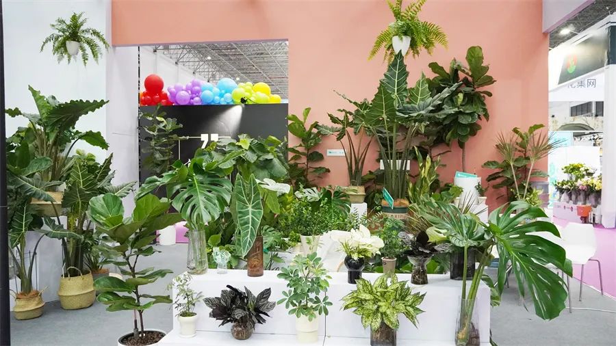 镇店之宝被抢购，“亚洲最美花展”上盆栽“吸睛”又“吸金”
