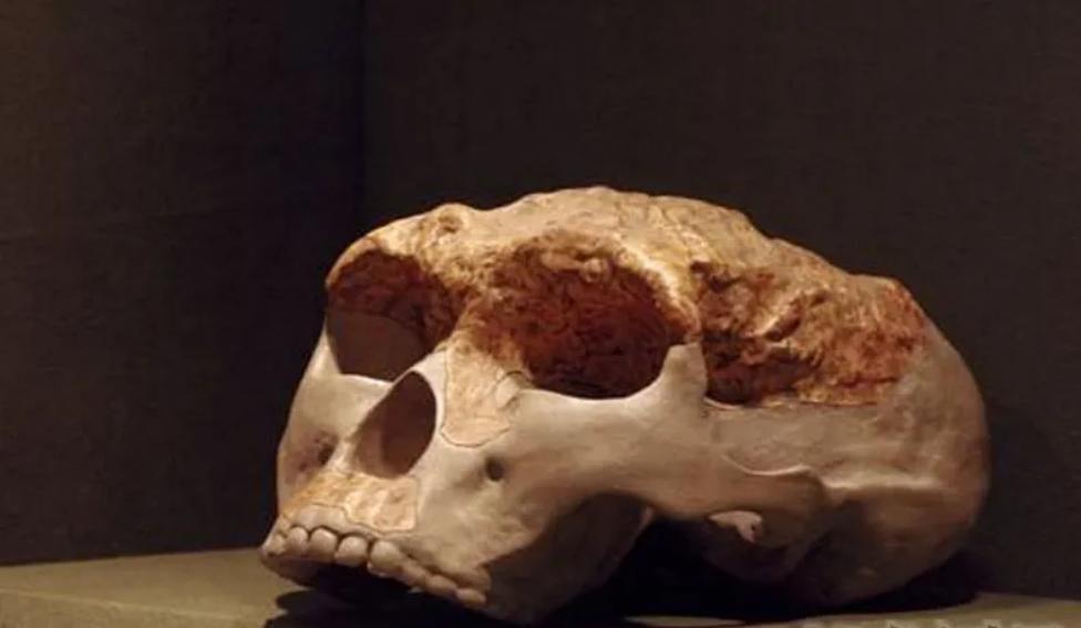 胆小莫入的人有多可怕,胆小勿进眼见不一定为实