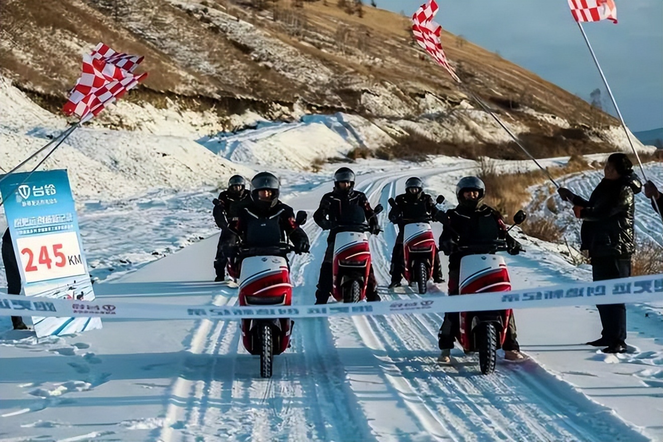 上半年电动自行车销量排行榜,电动自行车销量排行榜最新