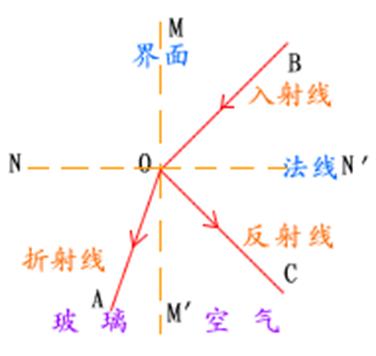 镜片的认识和功能,镜片基础知识题库